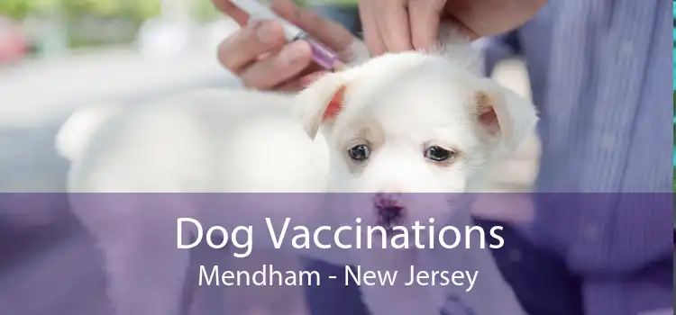 Dog Vaccinations Mendham - New Jersey
