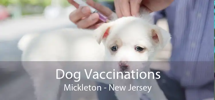 Dog Vaccinations Mickleton - New Jersey