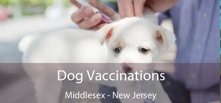 Dog Vaccinations Middlesex - New Jersey