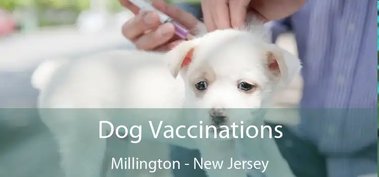 Dog Vaccinations Millington - New Jersey