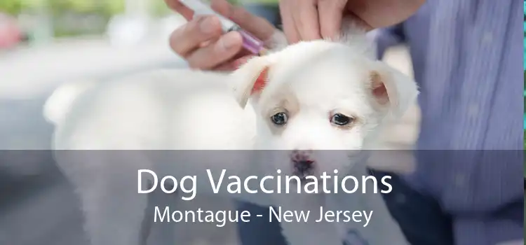 Dog Vaccinations Montague - New Jersey