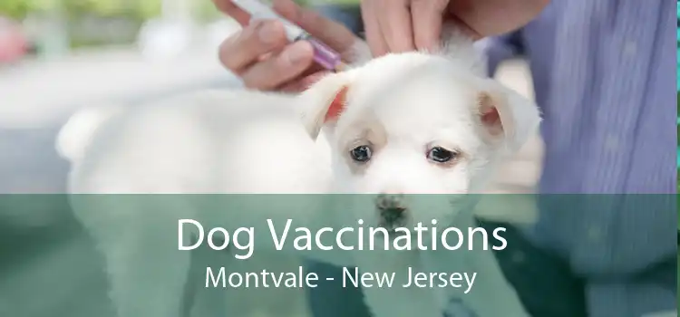 Dog Vaccinations Montvale - New Jersey