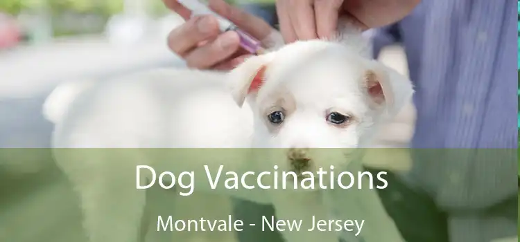 Dog Vaccinations Montvale - New Jersey