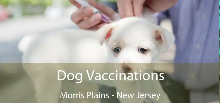 Dog Vaccinations Morris Plains - New Jersey