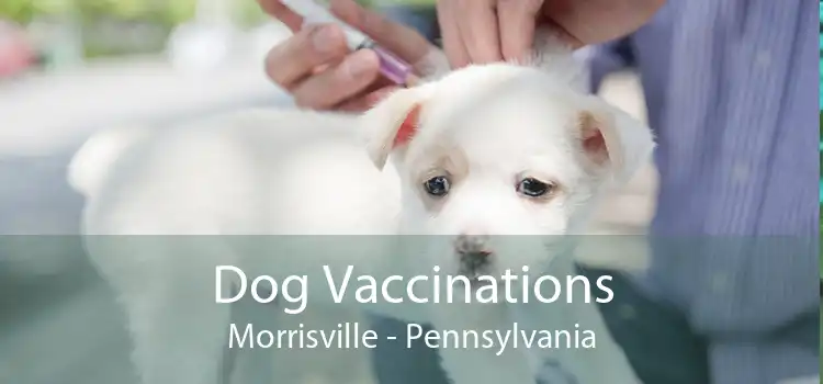 Dog Vaccinations Morrisville - Pennsylvania