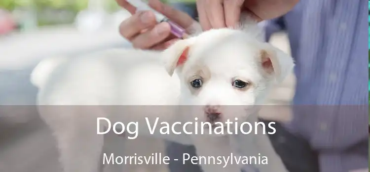 Dog Vaccinations Morrisville - Pennsylvania