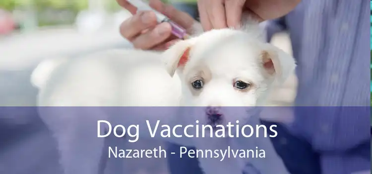 Dog Vaccinations Nazareth - Pennsylvania