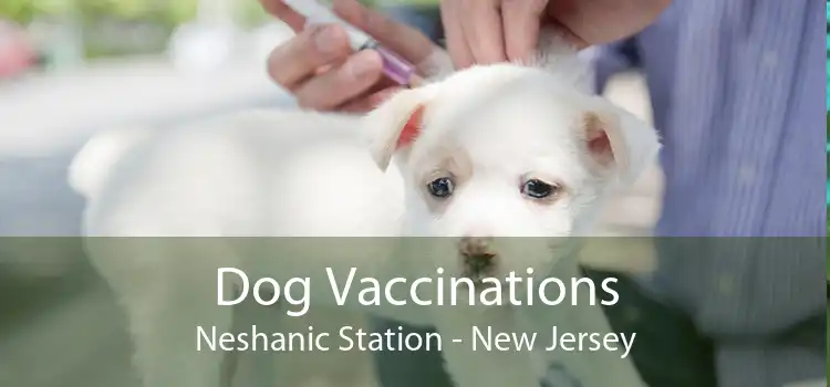 Dog Vaccinations Neshanic Station - New Jersey