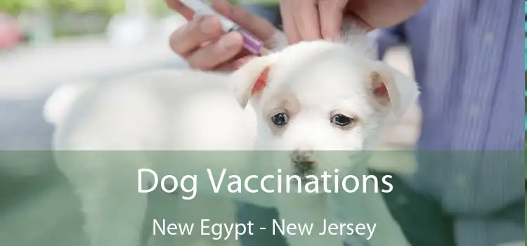 Dog Vaccinations New Egypt - New Jersey