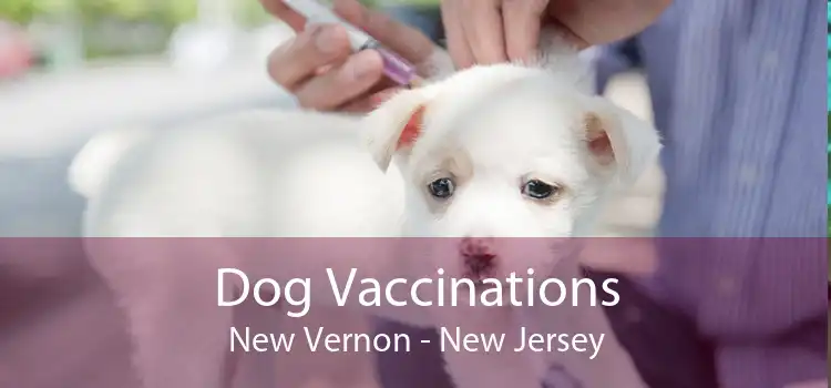 Dog Vaccinations New Vernon - New Jersey