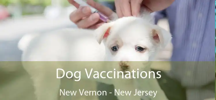Dog Vaccinations New Vernon - New Jersey