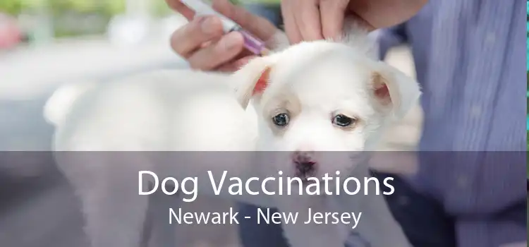 Dog Vaccinations Newark - New Jersey