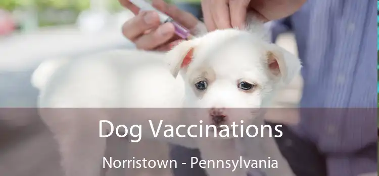 Dog Vaccinations Norristown - Pennsylvania