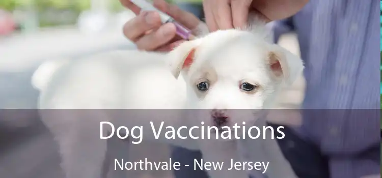 Dog Vaccinations Northvale - New Jersey