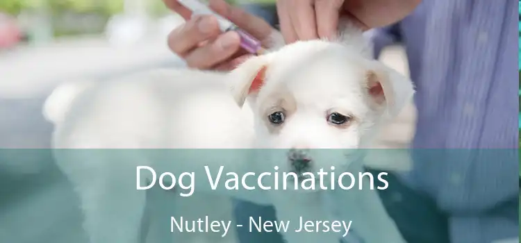 Dog Vaccinations Nutley - New Jersey