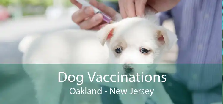 Dog Vaccinations Oakland - New Jersey