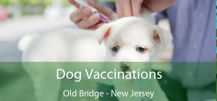 Dog Vaccinations Old Bridge - New Jersey