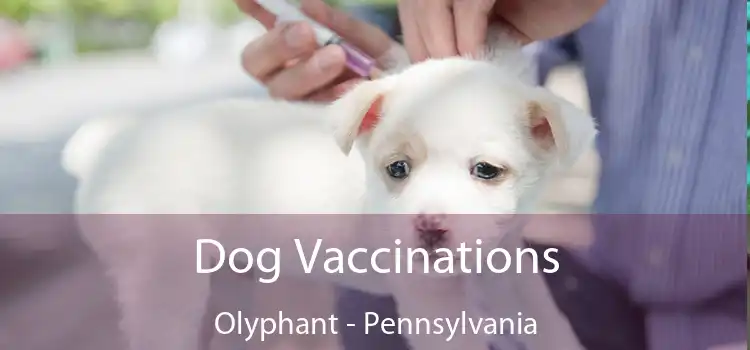 Dog Vaccinations Olyphant - Pennsylvania