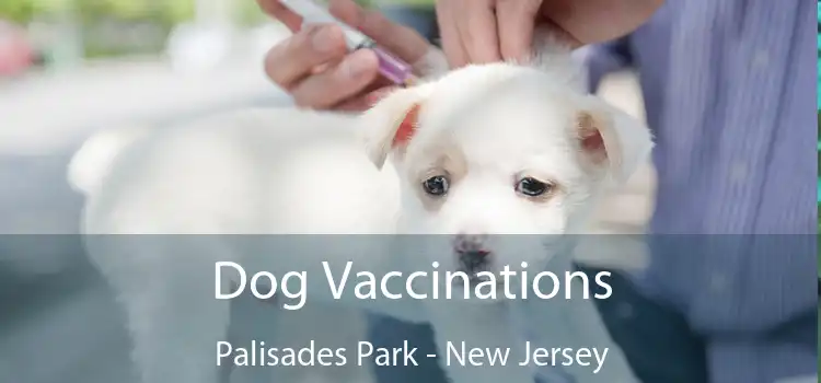 Dog Vaccinations Palisades Park - New Jersey