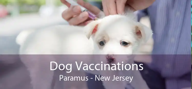 Dog Vaccinations Paramus - New Jersey