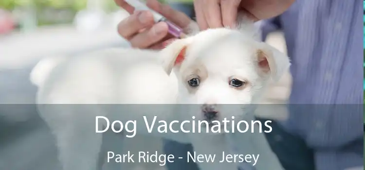 Dog Vaccinations Park Ridge - New Jersey