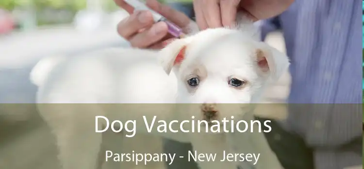 Dog Vaccinations Parsippany - New Jersey