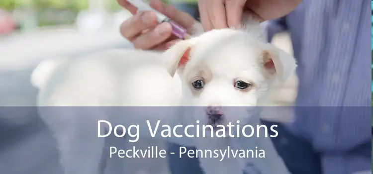 Dog Vaccinations Peckville - Pennsylvania