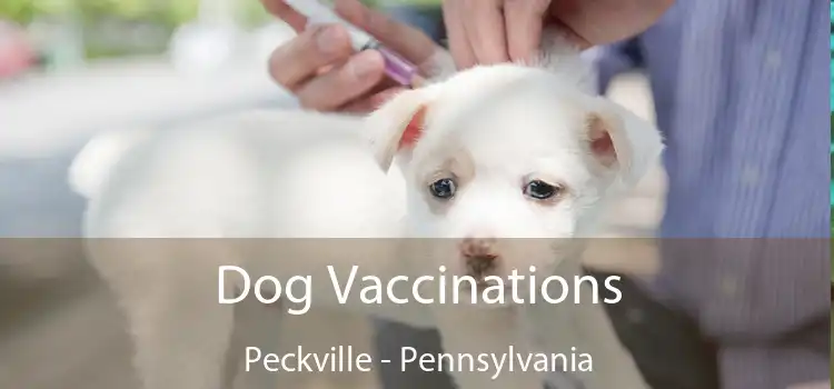 Dog Vaccinations Peckville - Pennsylvania