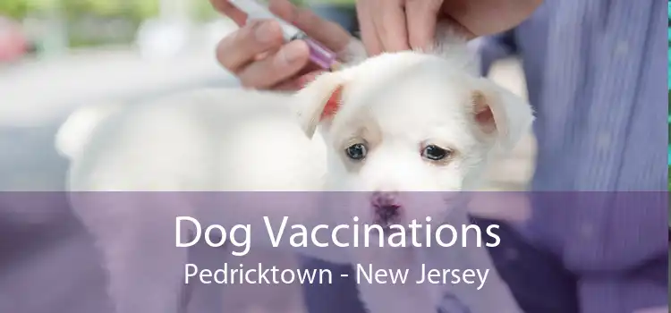 Dog Vaccinations Pedricktown - New Jersey