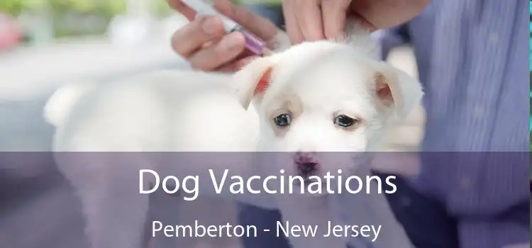 Dog Vaccinations Pemberton - New Jersey