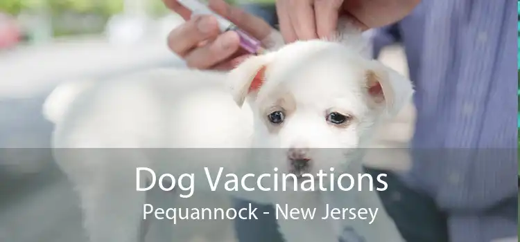 Dog Vaccinations Pequannock - New Jersey