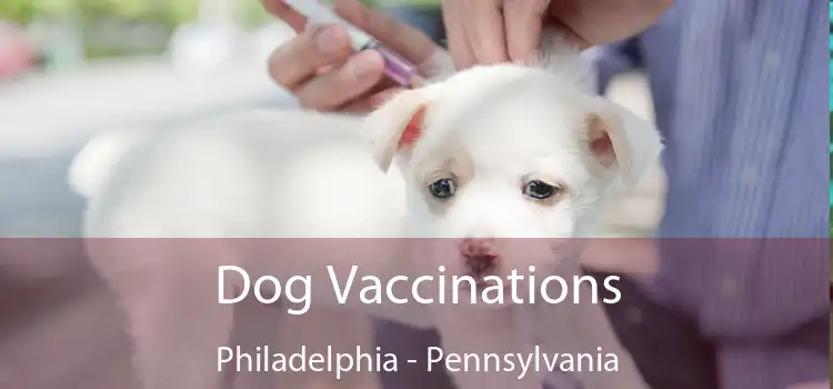 Dog Vaccinations Philadelphia - Pennsylvania