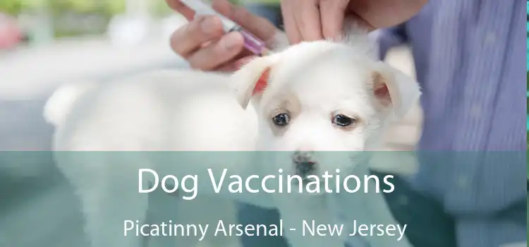 Dog Vaccinations Picatinny Arsenal - New Jersey