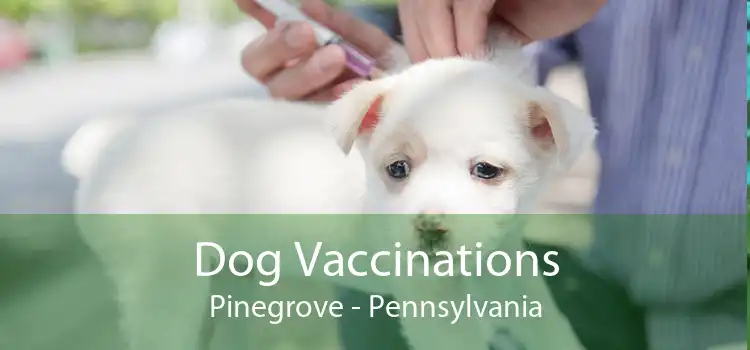 Dog Vaccinations Pinegrove - Pennsylvania