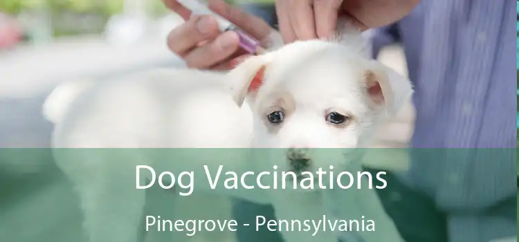 Dog Vaccinations Pinegrove - Pennsylvania