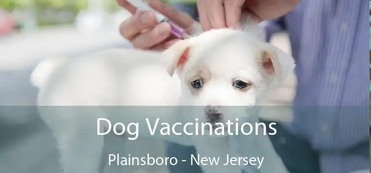 Dog Vaccinations Plainsboro - New Jersey