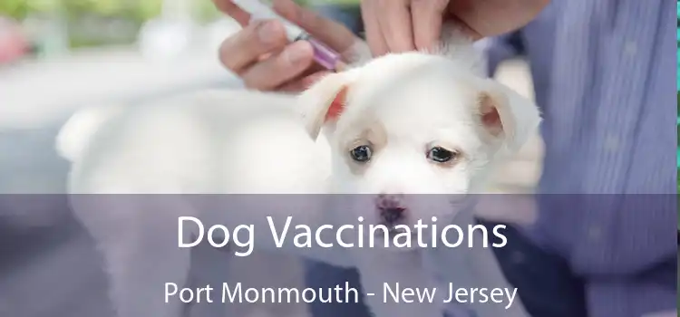 Dog Vaccinations Port Monmouth - New Jersey