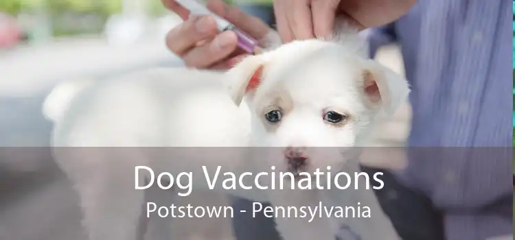 Dog Vaccinations Potstown - Pennsylvania