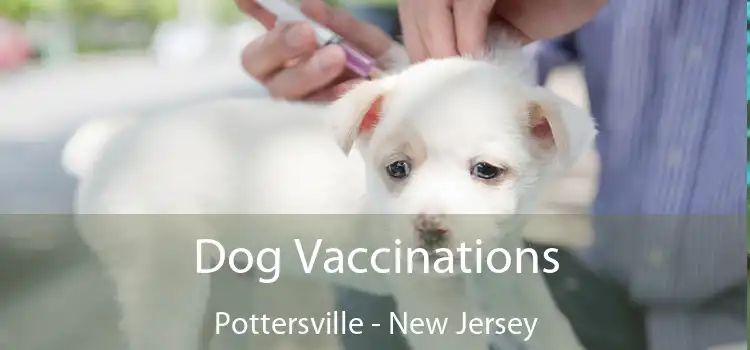 Dog Vaccinations Pottersville - New Jersey