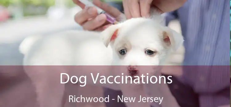 Dog Vaccinations Richwood - New Jersey