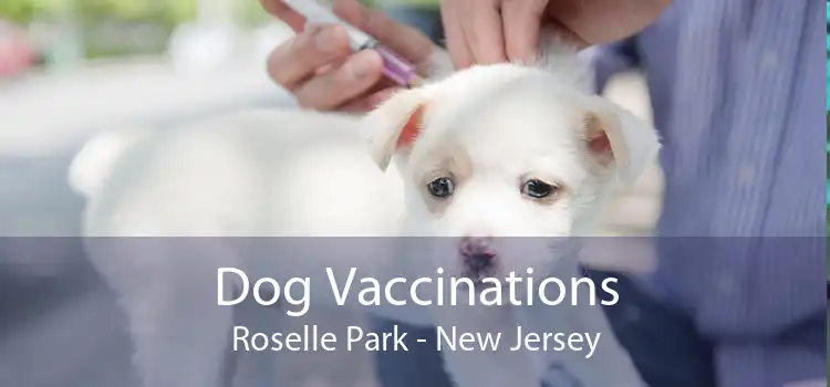 Dog Vaccinations Roselle Park - New Jersey