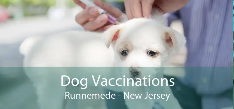 Dog Vaccinations Runnemede - New Jersey