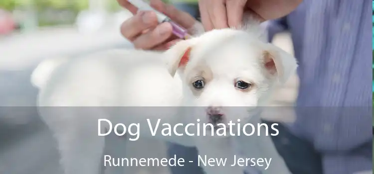 Dog Vaccinations Runnemede - New Jersey