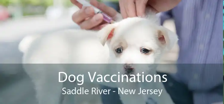 Dog Vaccinations Saddle River - New Jersey