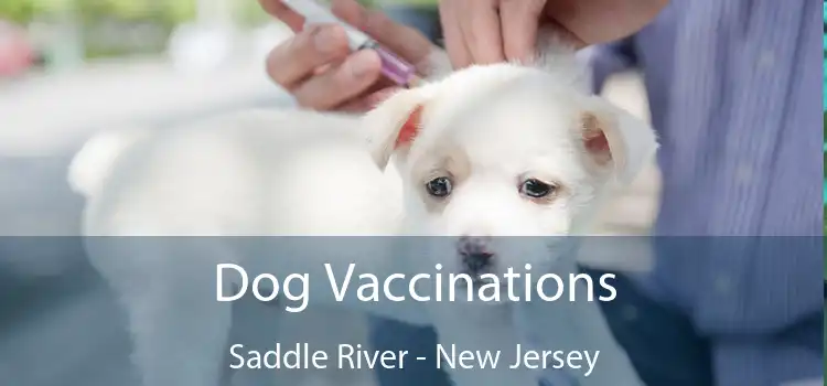 Dog Vaccinations Saddle River - New Jersey