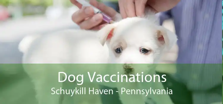 Dog Vaccinations Schuykill Haven - Pennsylvania