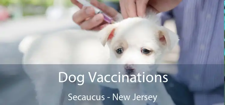 Dog Vaccinations Secaucus - New Jersey