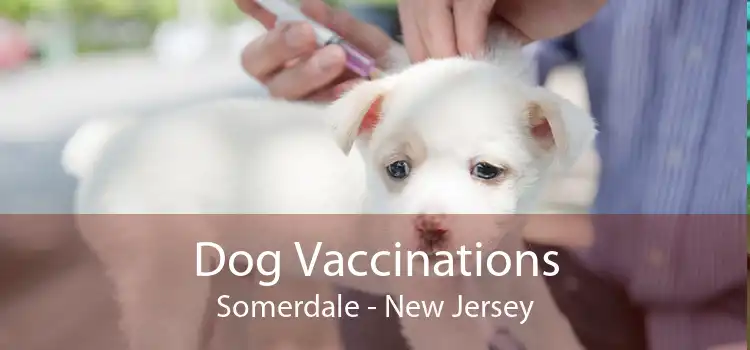 Dog Vaccinations Somerdale - New Jersey