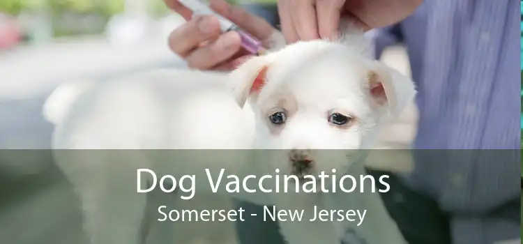 Dog Vaccinations Somerset - New Jersey