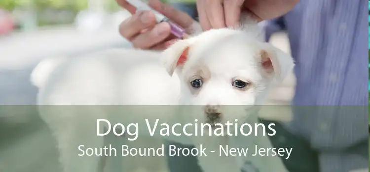 Dog Vaccinations South Bound Brook - New Jersey
